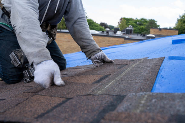 Best Metal Roofing Contractor  in Lorenzo, TX